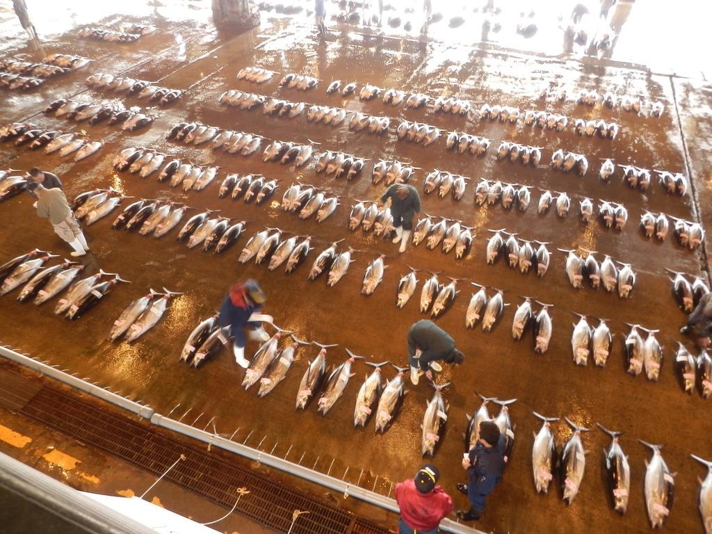Hotel Urashima-So มัตสึชิมะ ภายนอก รูปภาพ